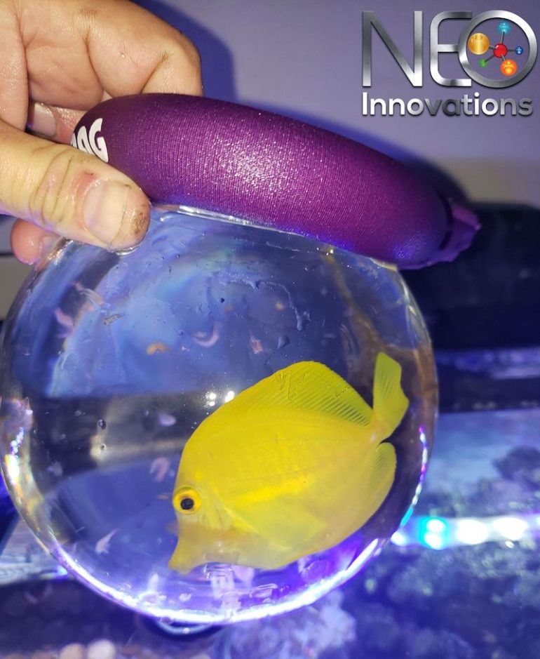 Tankmatez Came Up With A Very Innovative ‘Bubble’ Fish Trap Reef