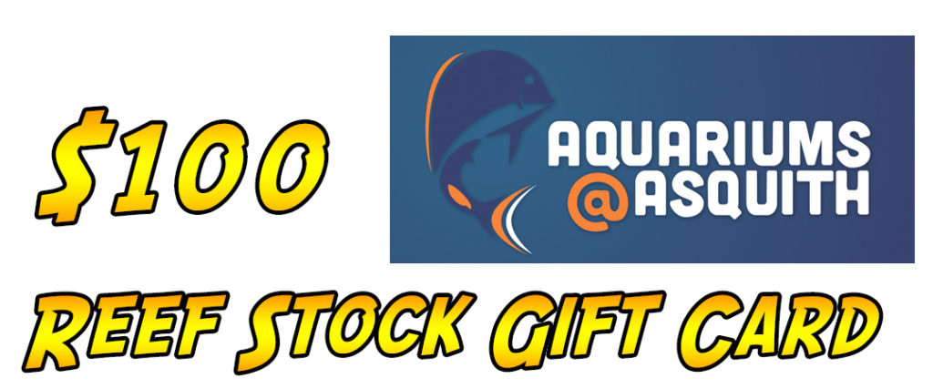 We’ve Got a Whole Lotta Raffle Prizes Coming To Reef Stock Australia ...