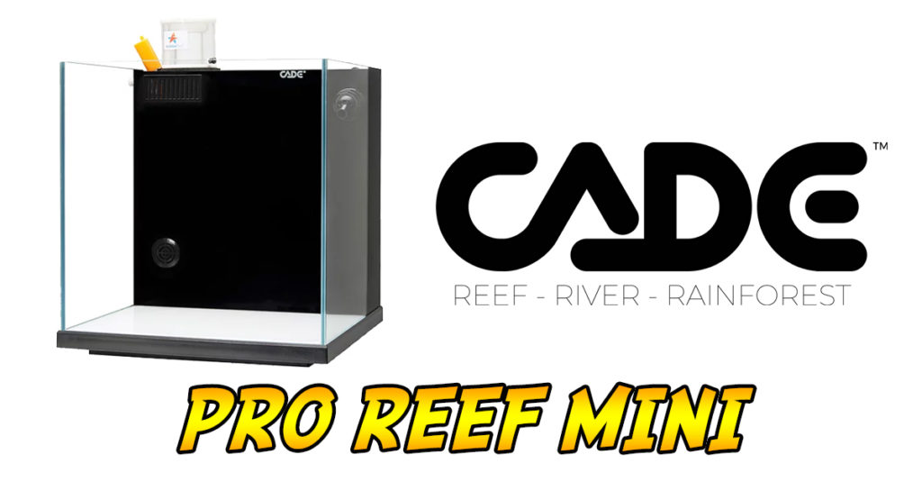 We’ve Got a Whole Lotta Raffle Prizes Coming To Reef Stock Australia ...