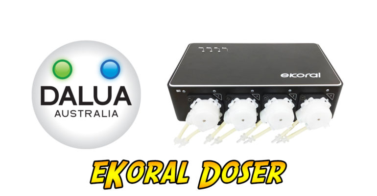 We’ve Got a Whole Lotta Raffle Prizes Coming To Reef Stock Australia ...