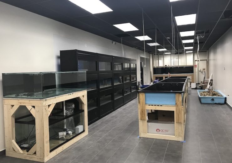 Tag LFS Reef Builders The Reef and Saltwater Aquarium Blog