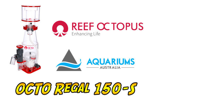 We’ve Got a Whole Lotta Raffle Prizes Coming To Reef Stock Australia ...