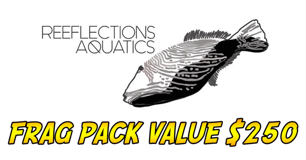 We’ve Got a Whole Lotta Raffle Prizes Coming To Reef Stock Australia ...