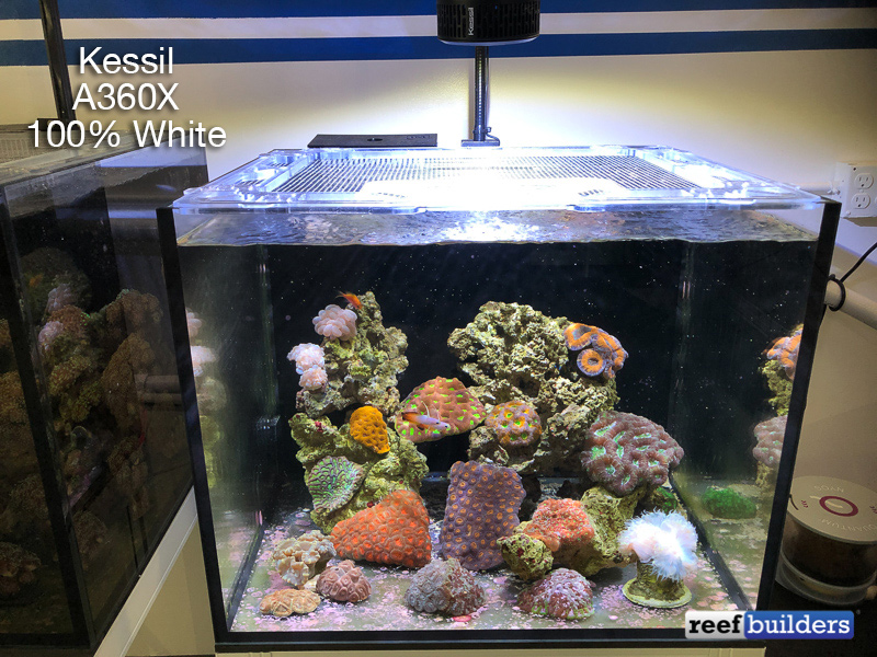 Gecomprimeerd staal blad Red Sea ReefLED Review; the Best First-Generation LED Light to Date | Reef  Builders | The Reef and Saltwater Aquarium Blog