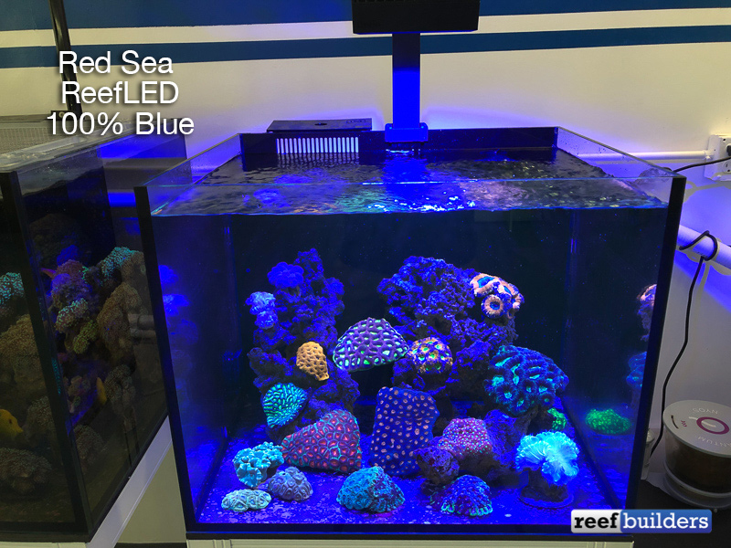 Red Sea ReefLED Review; the Best First-Generation LED Light to 