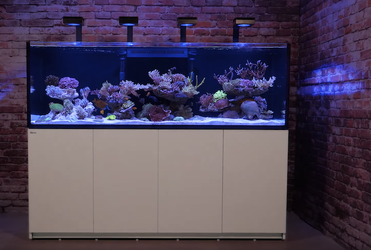 Red Sea Reefer 3xl 900 Gets More Official With Video Reef Builders The Reef And Saltwater Aquarium Blog
