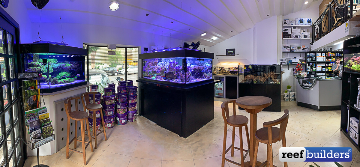 Marine 2025 aquarium shop