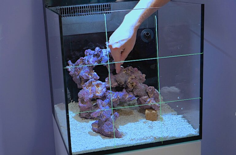 Theoretisch Antibiotica zal ik doen How to Setup a Mini Reef Aquarium – Part 2: Aquascaping, Live Rock &  Leveling | Reef Builders | The Reef and Saltwater Aquarium Blog