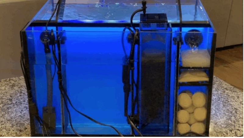 TheReefbox Launches new Concept All in One Aquarium on KickStarter