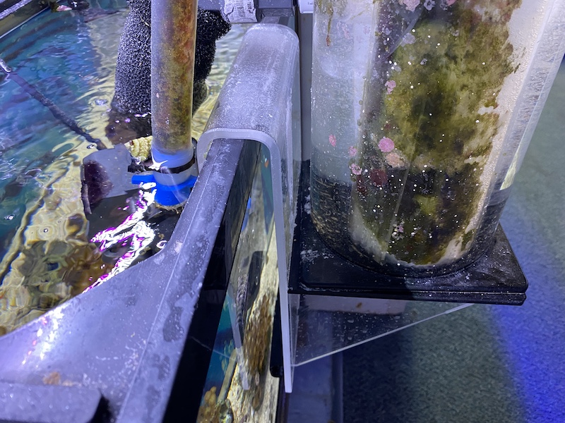 The Endurance of the LifeReef Venturi Protein Skimmer, Reef Builders
