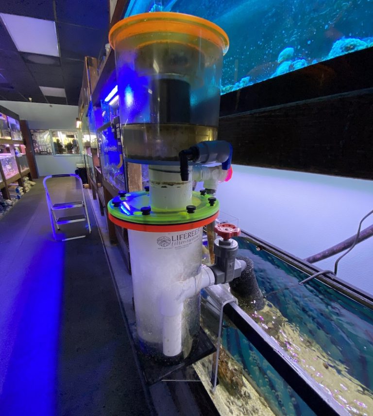 The Endurance of the LifeReef Venturi Protein Skimmer Reef Builders