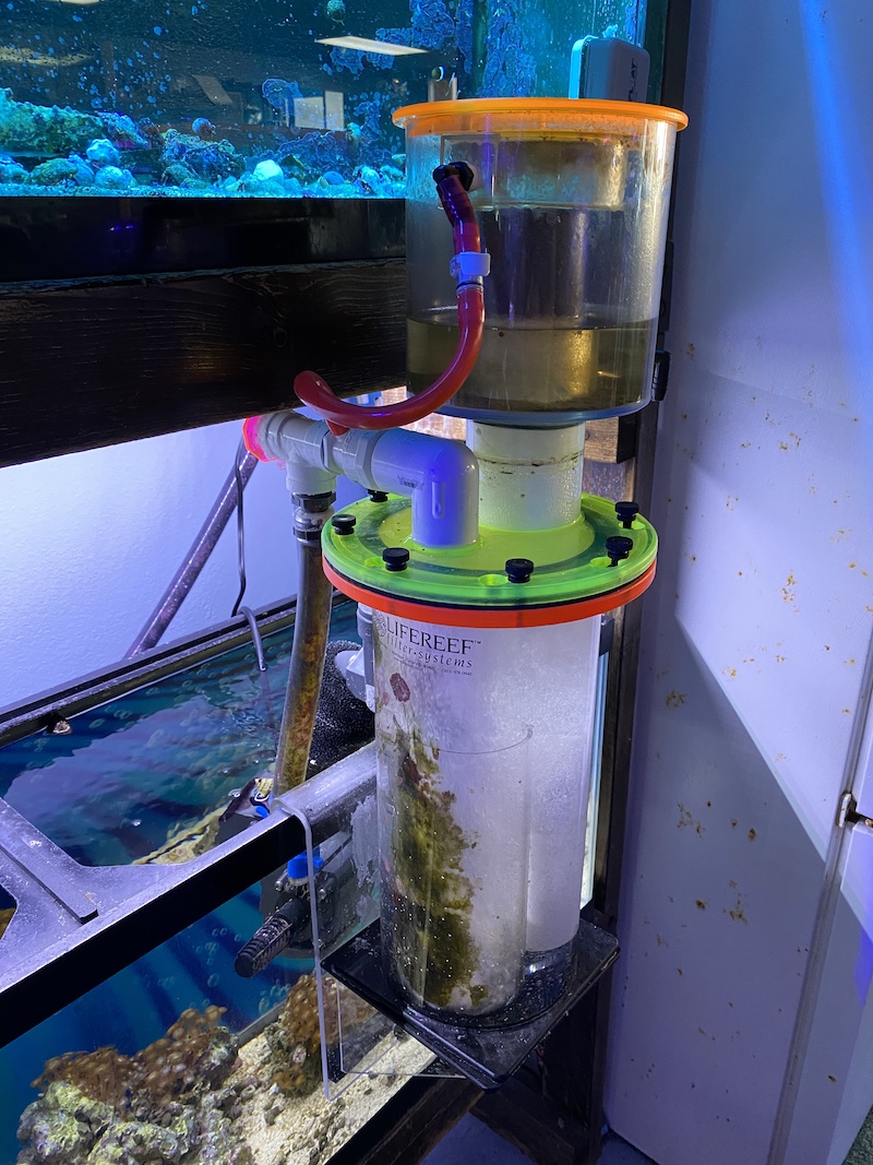 The Endurance of the LifeReef Venturi Protein Skimmer, Reef Builders