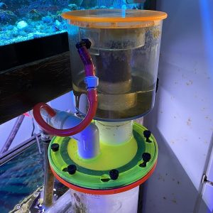 The Endurance of the LifeReef Venturi Protein Skimmer | Reef Builders ...