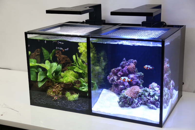 Nuvo Encore Pro 20 a New 2 in 1 Concept Aquarium from Innovative Marine Reef Builders The Reef and Saltwater Aquarium Blog