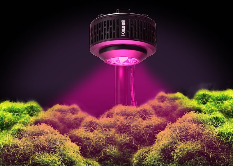 New Kessil A360X series Refugium LED Reef Builders The Reef and