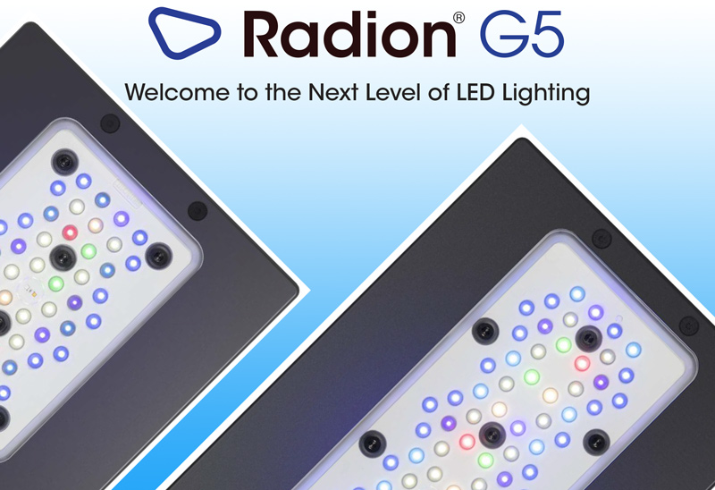 Radion Gen 5 LED will come in Pro and Blue Versions! | Reef