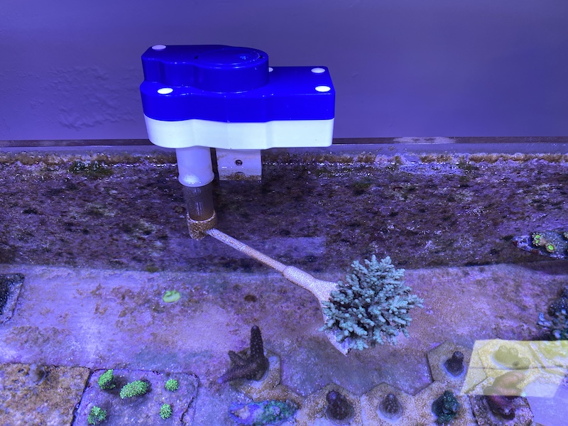 RoboCoral Turning a Pump Mover Into a Coral Mover Reef Builders