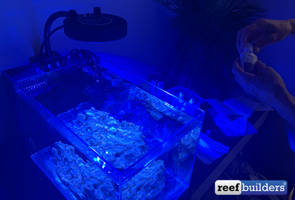 View of 30 Day Reef Tank - Gear, Space, And Cycling | Reef Builders | The Reef ...