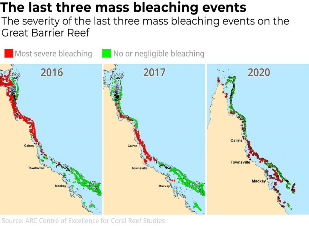 Australia Records Third Coral Bleaching Event In Five Years Reef   GBR 2020 Coral Bleaching ARC 1024x748 