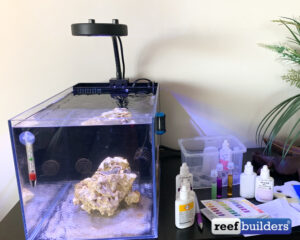 30 Day Reef Tank – Testing and Waiting | Reef Builders | The Reef and ...