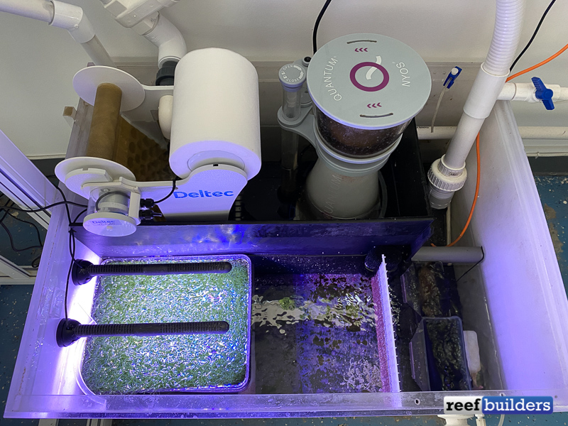 Deltec Fleece Filter Review The New King Of Automatic Filter Rolls Reef Builders The Reef And Saltwater Aquarium Blog