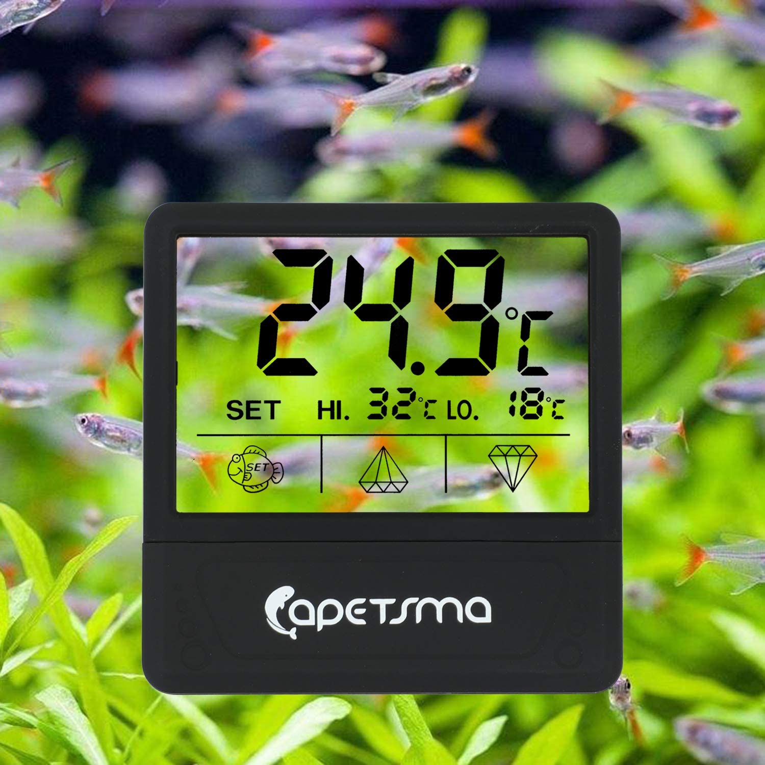 This is My Favorite New Thermometer, Reef Builders