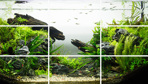 Marine Aquarium Aquascaping: The Rule of Thirds, Reef Builders