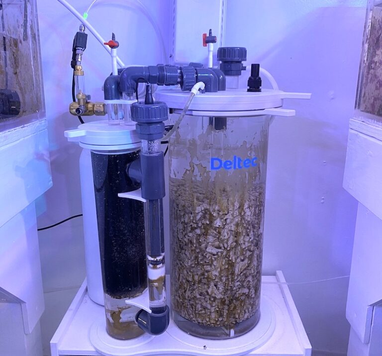 View of The Importance of Regular Calcium reactor Maintenance | Reef Builders ...