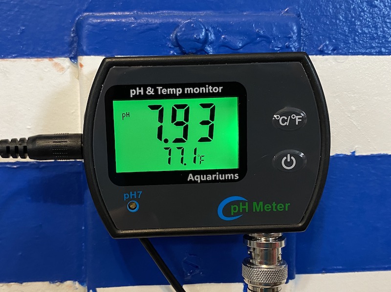 Is a pH Monitor Even Any Good? | Reef Builders | The and Saltwater Blog