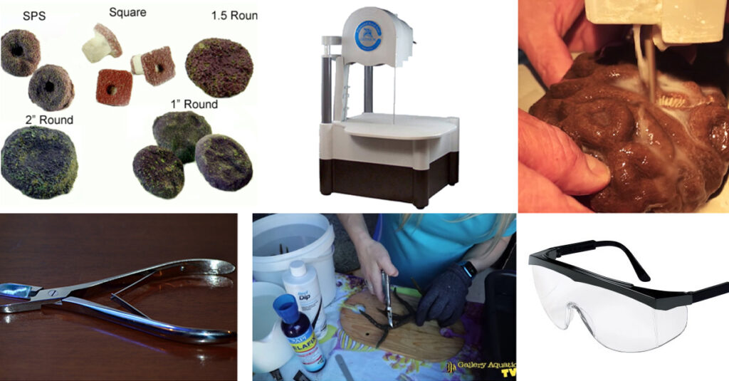 Curated visual reference: Fresh Look at Tools For Fragging Corals Reef Builders
