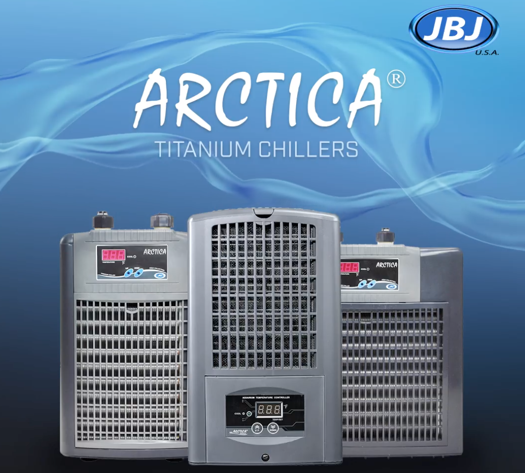 JBJ Arctica Titanium Chiller, Is Your Tank Ready For The Summer Heat? Reef Builders The Reef