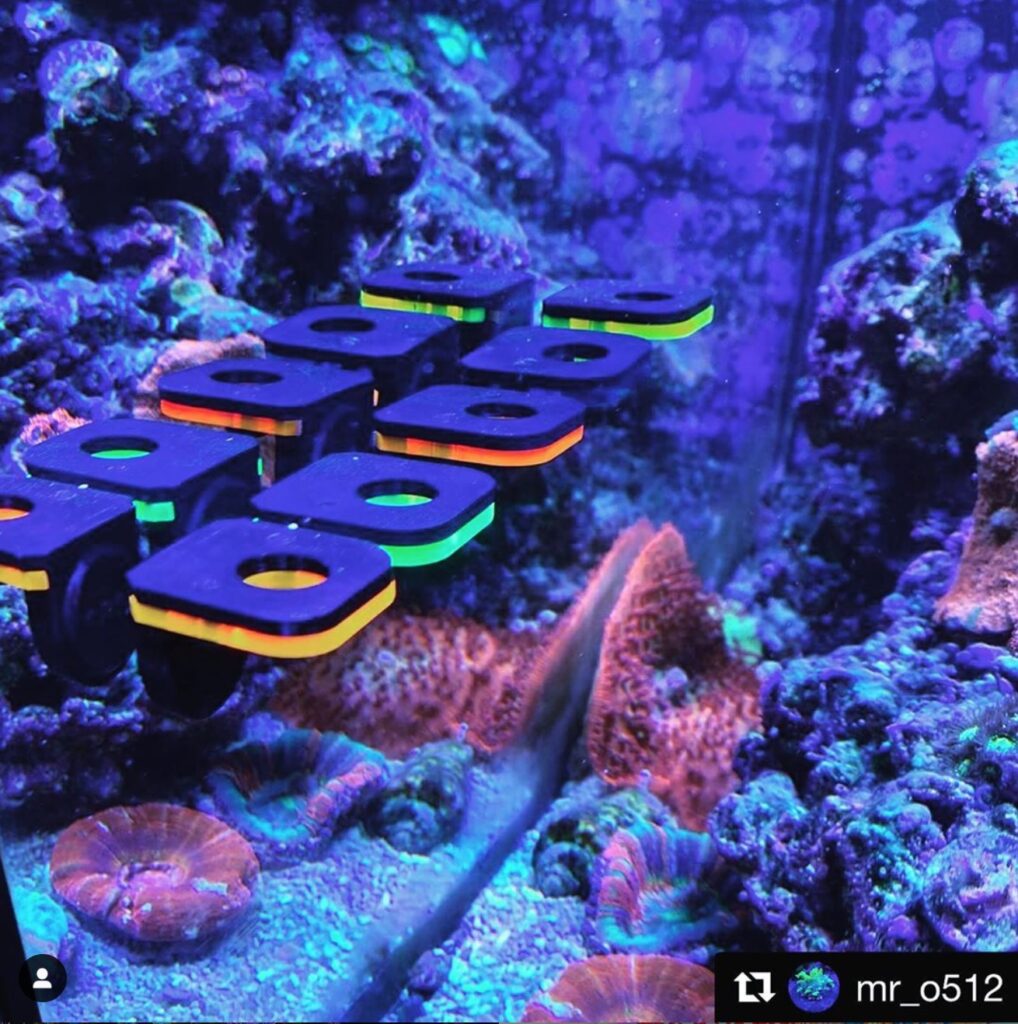 CoralOne GLO Edition Solo Frag Racks from Oceanbox Designs