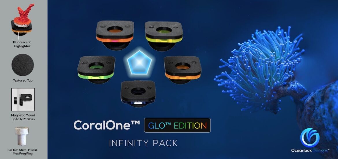 CoralOne GLO Edition Magnetic Solo Frag Racks from Oceanbox Designs ...