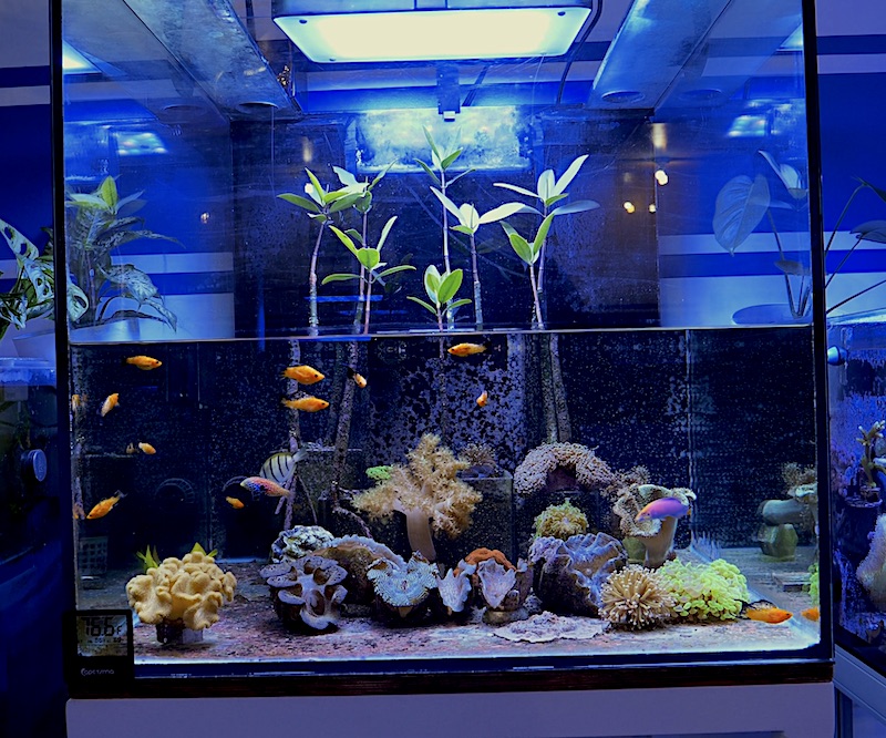 Fish tank outlet builders