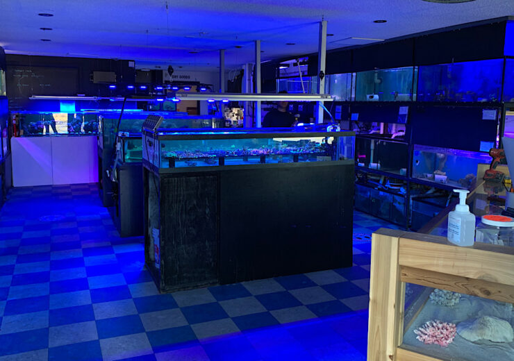 Category: Canada | Reef Builders | The Reef and Saltwater Aquarium Blog