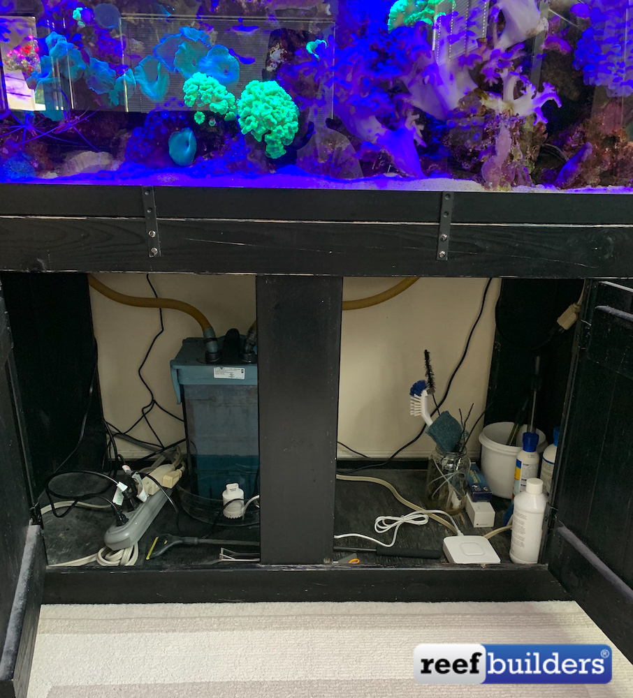 Updates and Lessons Learned From Our 90 Gallon Reef Tank, Reef Builders