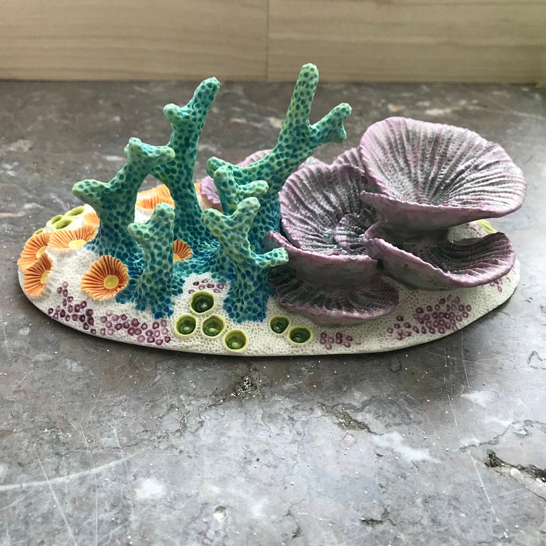 How to Make a Coral Reef with Clay
