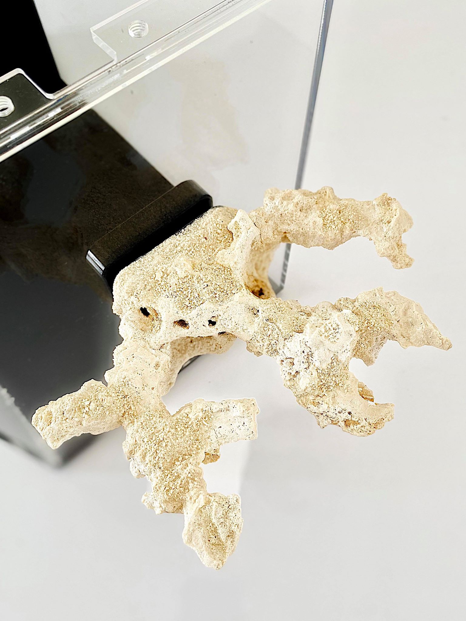 Oceanexus Rock Is Perfect For Creating Floating Reefscapes