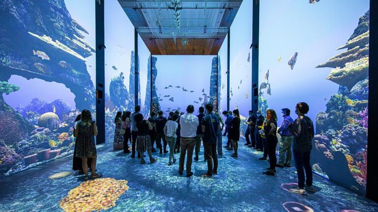 Oceanographic Museum of Monaco Unveils Virtual Great Barrier Reef ...