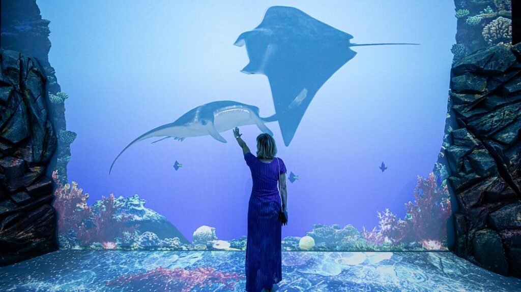 Oceanographic Museum of Monaco Unveils Virtual Great Barrier Reef ...