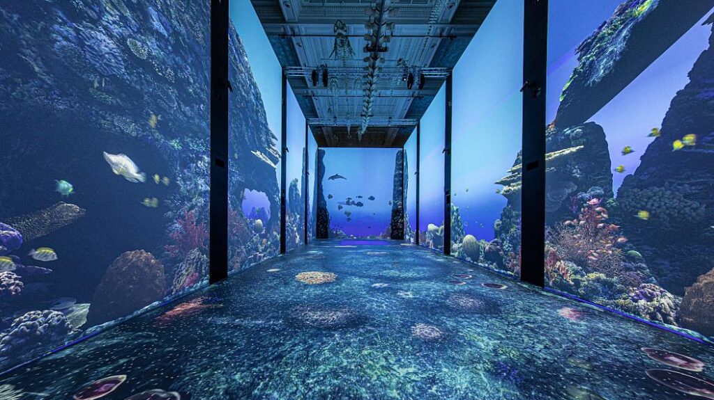 Oceanographic Museum of Monaco Unveils Virtual Great Barrier Reef Exhibit, Reef Builders