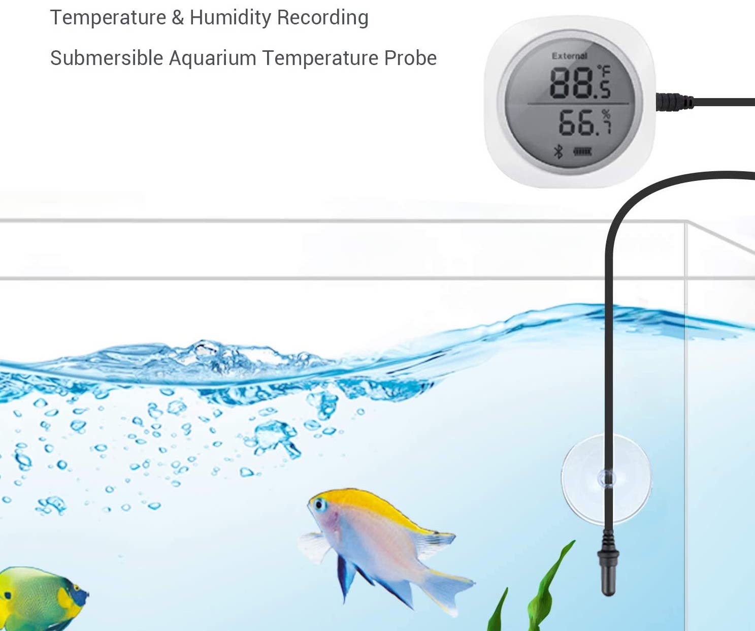 Bluetooth Thermometer Hygrometer Data Rekorders Temperatur Aquarien Probe Tank 