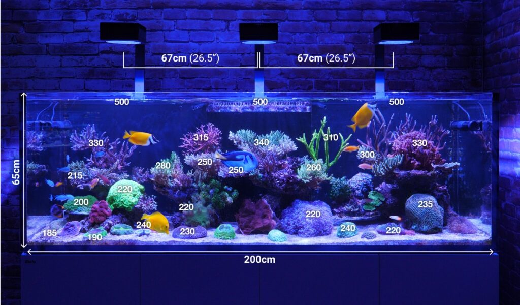 Red Sea Releases The New Reefled 160s Reef Builders The Reef And Saltwater Aquarium Blog