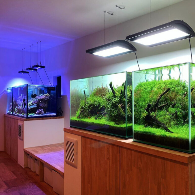 Takaki’s Japanese ‘Nature Aquarium’ Style Reef Tank | Reef Builders ...