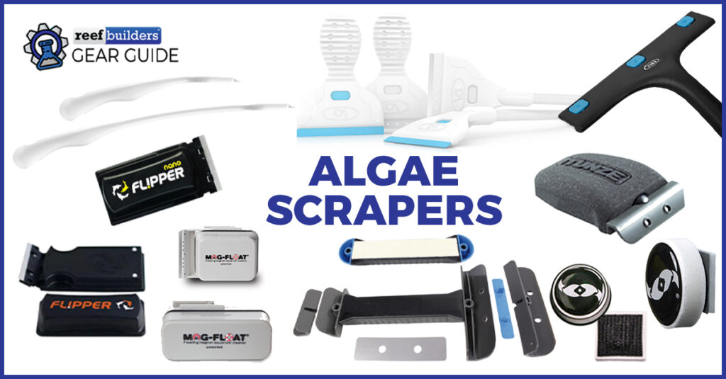 The Best Algae Scrapers for Saltwater Aquariums Reef Builders Gear