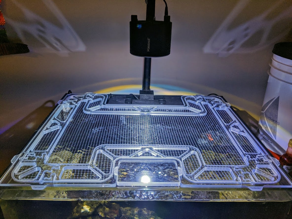 The Best Lids for Saltwater Aquariums Reef Builders Gear Guide Reef Builders The Reef and