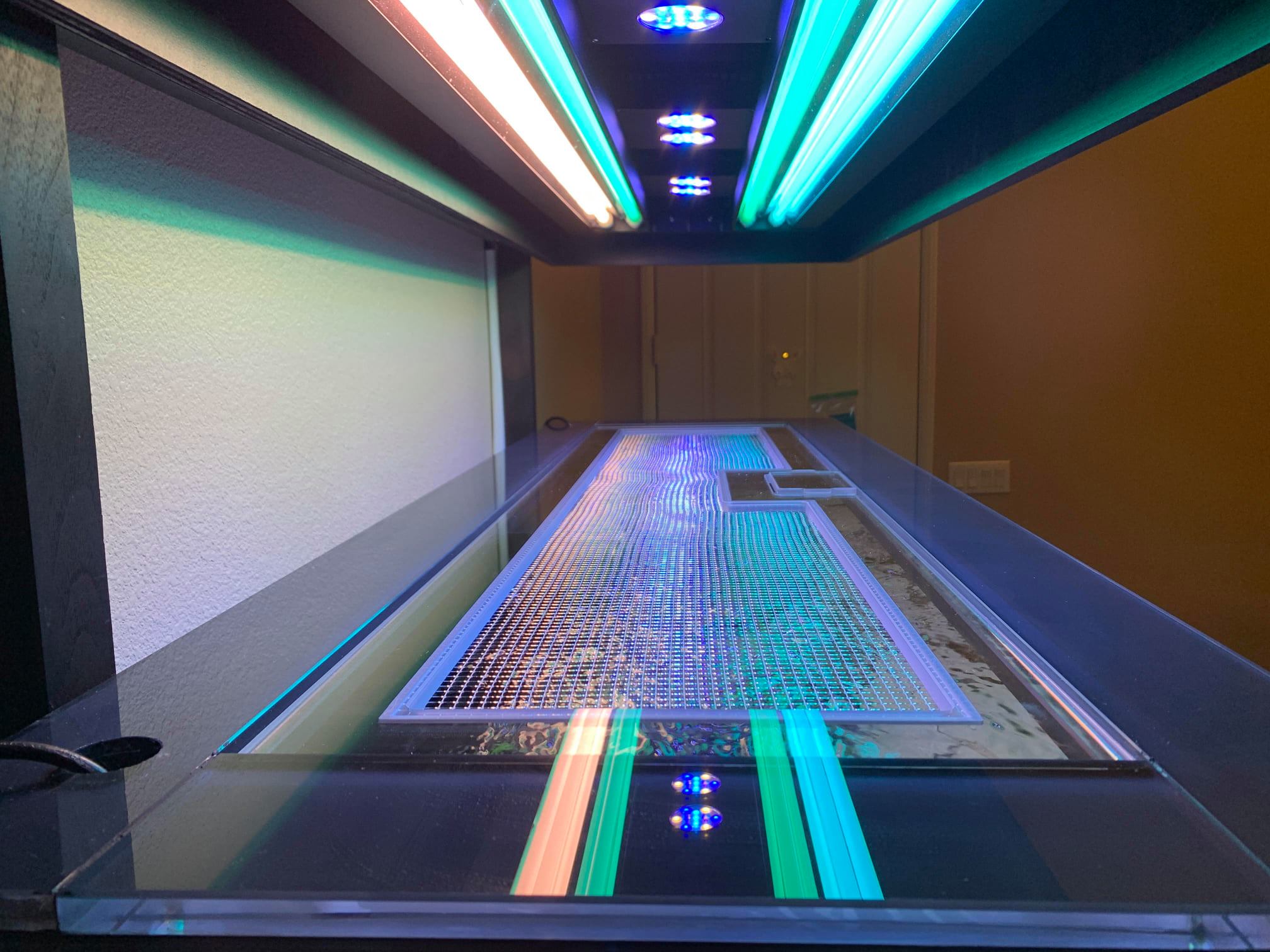 The Best Lids for Saltwater Aquariums Reef Builders Gear Guide Reef