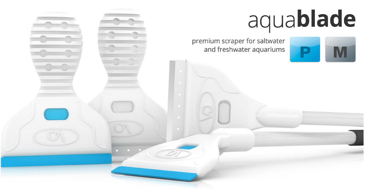 The Best Algae Scrapers for Saltwater Aquariums Reef Builders Gear