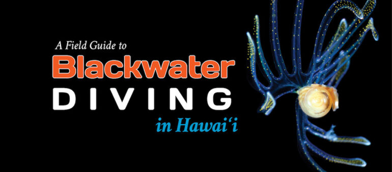 Jeff Milisen Releases The Field Guide to Blackwater Diving in Hawai'i, Reef Builders