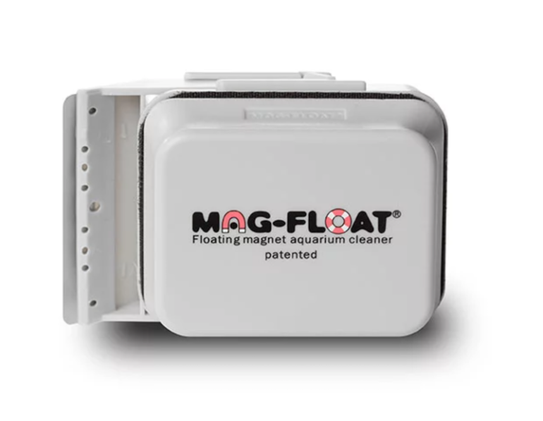 The Best Algae Scrapers for Saltwater Aquariums Reef Builders Gear